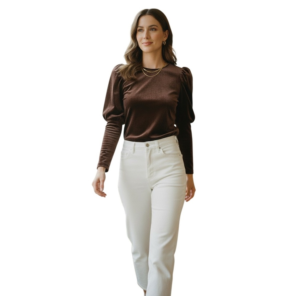 Anthropologie Sunday in Brooklyn Brown Velvet Puff Sleeve Coquette Bow Bck Top S